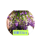 春夏秋冬だねぇ（個別スタンプ：3）