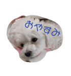 ちょこスタンプ 1（個別スタンプ：2）