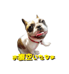 れおんくんくん（個別スタンプ：1）