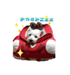 れおんくんくん（個別スタンプ：3）