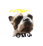 れおんくんくん（個別スタンプ：4）