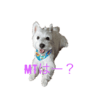 れおんくんくん（個別スタンプ：8）