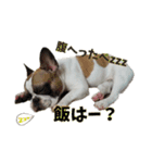 ちゅらちゃんちゃん（個別スタンプ：3）