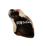 しまろんとちゃこ（個別スタンプ：3）