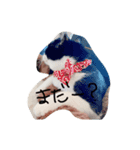 しまろんとちゃこ（個別スタンプ：4）