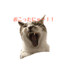 はなちゃん＊＊（個別スタンプ：2）