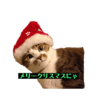 はなちゃん＊＊（個別スタンプ：4）