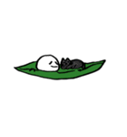かしわっこ（個別スタンプ：12）