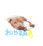 三浦家。（個別スタンプ：1）