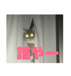 猫0808（個別スタンプ：5）