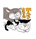 ぐるぐるねこ6（個別スタンプ：8）