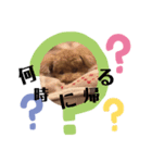 ルイプースタンプ（個別スタンプ：3）