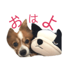 ぱぴちゃん2（個別スタンプ：1）