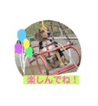 リン01（個別スタンプ：4）