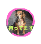 リン01（個別スタンプ：5）