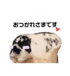 うさぎの日常使えるスタンプ（個別スタンプ：7）