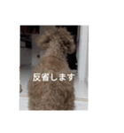 いぬがぞう（個別スタンプ：4）