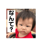 たおかお（個別スタンプ：1）