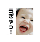 たおかお（個別スタンプ：3）