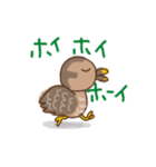 がーこのがーこ（個別スタンプ：4）