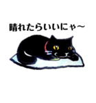 黒猫いそべ       スタンプ（個別スタンプ：5）