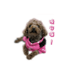 俺のドラゴン2（個別スタンプ：2）