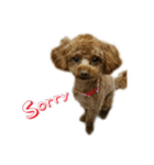 俺のドラゴン2（個別スタンプ：3）