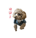 俺のドラゴン2（個別スタンプ：8）
