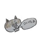 下杉正子ー猫スタンプ（個別スタンプ：12）