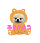 まるこはオリジナルスタンプ（個別スタンプ：3）