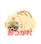まるこはオリジナルスタンプ（個別スタンプ：4）