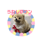 まるこはオリジナルスタンプ（個別スタンプ：7）