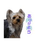 大地と大哉（個別スタンプ：2）