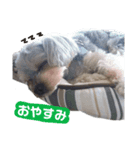 大地と大哉（個別スタンプ：3）