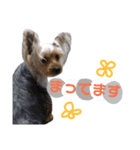 大地と大哉（個別スタンプ：8）
