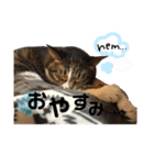 みんとさんは喋る（個別スタンプ：2）