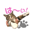 みんとさんは喋る（個別スタンプ：3）