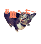 みんとさんは喋る（個別スタンプ：4）