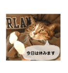 みんとさんは喋る（個別スタンプ：7）