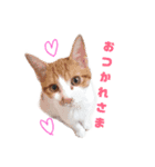 かおりファミリースタンプ（個別スタンプ：1）
