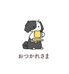 ボーダーコリー系片パンダ犬（個別スタンプ：26）