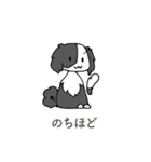 ボーダーコリー系片パンダ犬（個別スタンプ：35）