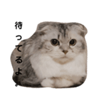 ジジすたんぷ（個別スタンプ：2）