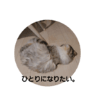 ジジすたんぷ（個別スタンプ：6）