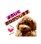 ゆわんstamp（個別スタンプ：5）