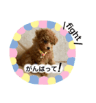 ゆわんstamp（個別スタンプ：6）