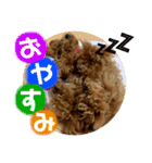 ゆわんstamp（個別スタンプ：7）