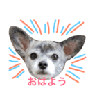 マイロの気持ち（個別スタンプ：2）