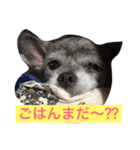 マイロの気持ち（個別スタンプ：4）