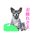 マイロの気持ち（個別スタンプ：6）